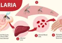 KLB malaria Rokan Hilir diperpanjang kesembilan kalinya